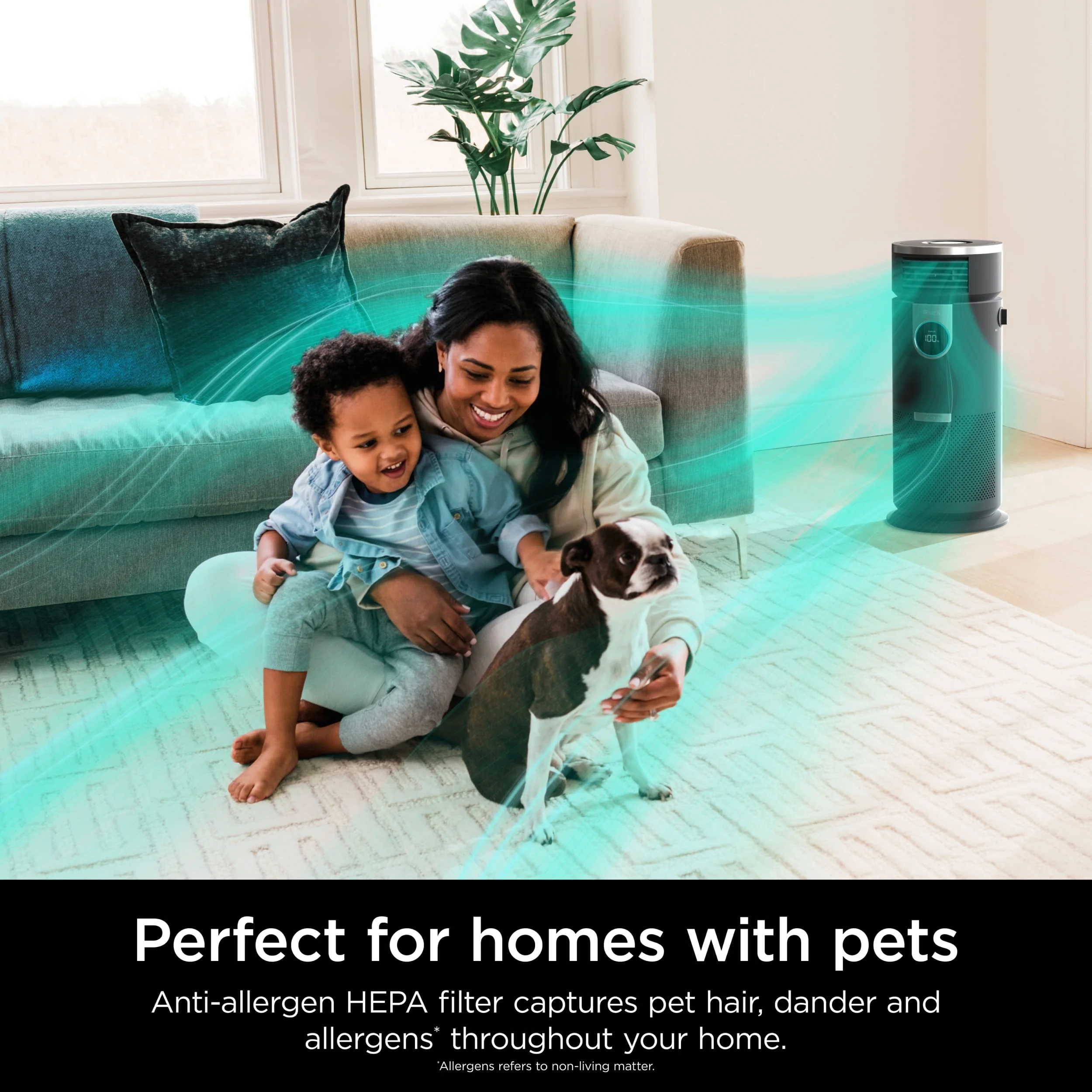 Shark Air Purifier with Nanoseal HEPA, Cleansense IQ, Odor Lock, Cleans up to 500 Sq. Ft, Charcoal Grey, HP100