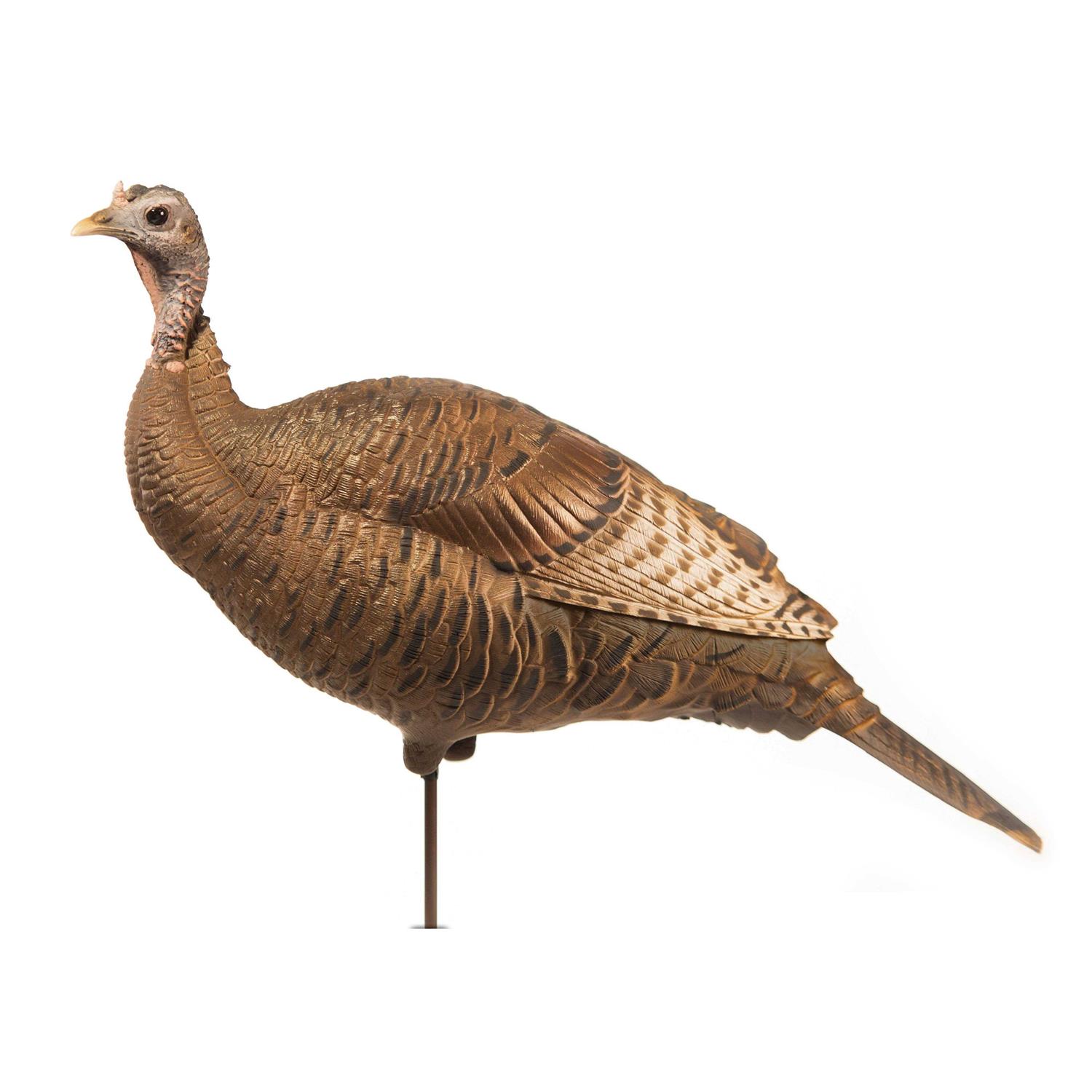 Dave Smith Decoys Upright Hen Decoy - Sports Supplies Online Store
