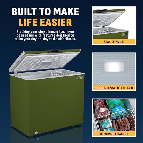 Newair 13.8 cu. ft. Upright Freezer, Fridge Freezer Convertible, Garage Ready Refrigerator, Frost Free Freezer with Door Alarm, Stand up Deep Freezer