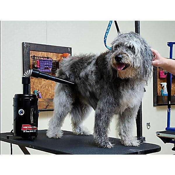 MetroVac Air Force Hands-Free Pet Dryer - Pet Supplies online store