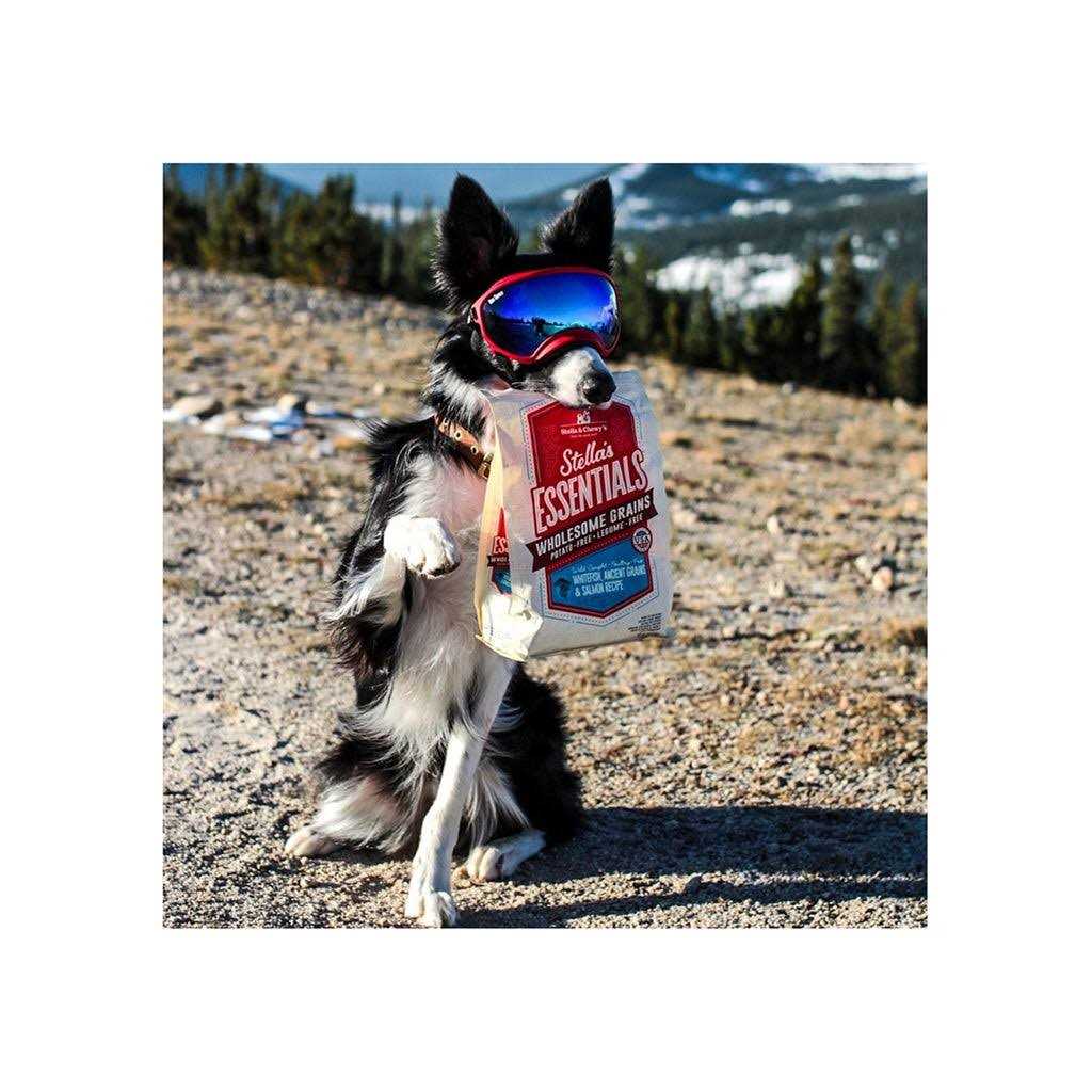 Stella &amp; Chewy's Essentials Ancient Grains Recipe Dog Food - Pet Supplies online store