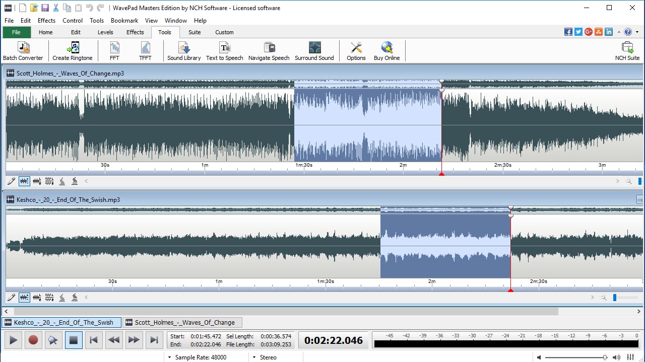 WavePad Audio Editing Software - Professional Audio and Music Editor for Anyone [Download] Pack of 2