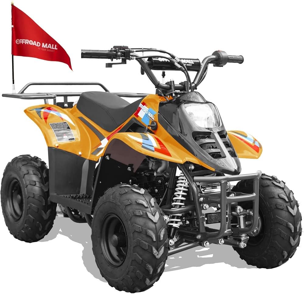 Offroad Mall REX 110cc Dirt Quad 4-Wheeler Gas Powered ATV for Kids, Remote Electric Start/Kill Switch, EPA & CARB Approved
