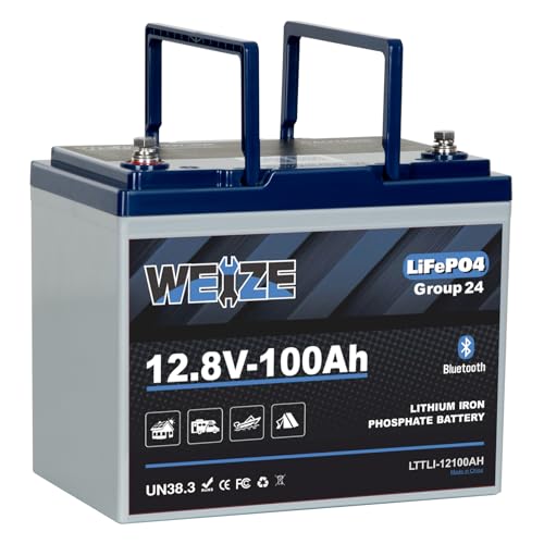 Weize 12V 100Ah TM Bluetooth LiFePO4 Lithium Battery, Built-in 120A BMS