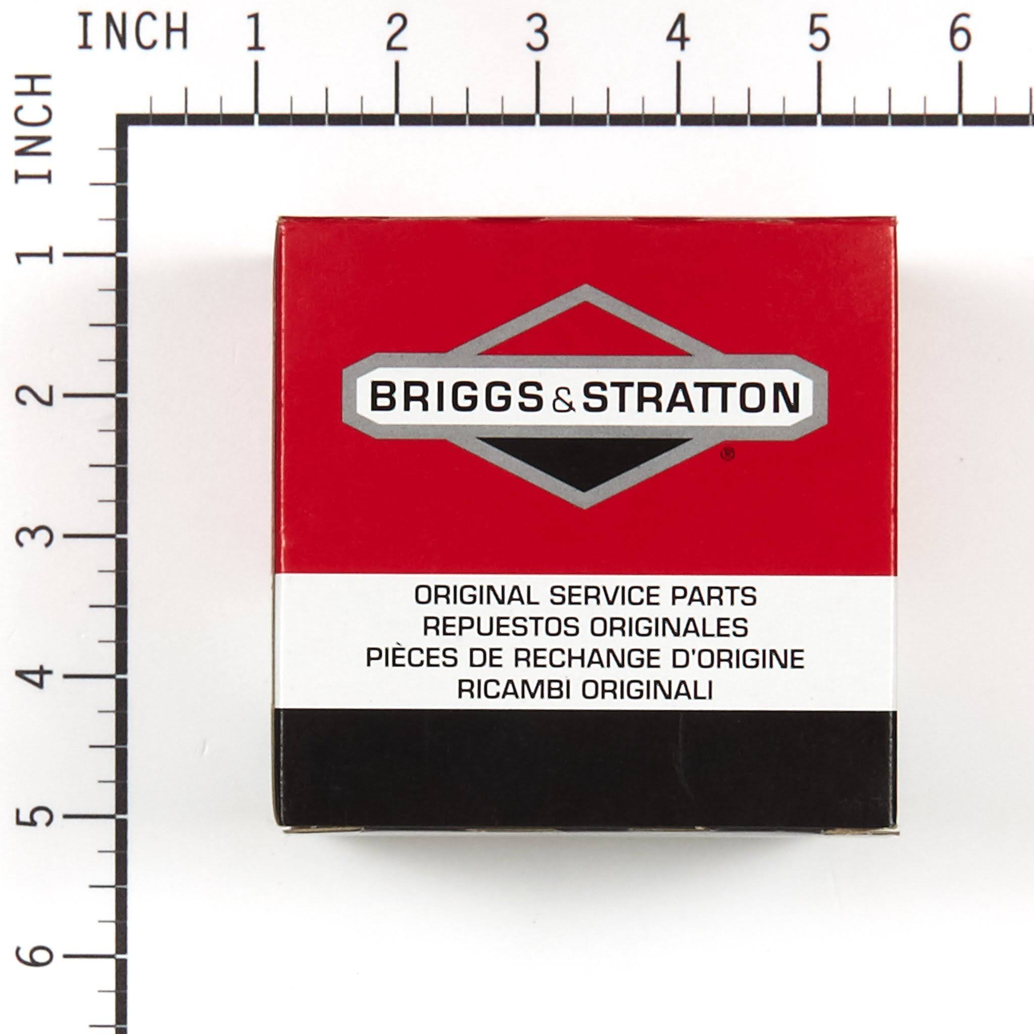 Briggs u0026 Stratton 690117 Carburetor