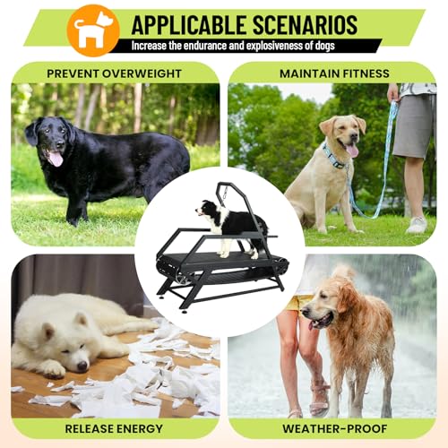 Dog Treadmill for Large Medium Dogs,Slatmill for Dogs with Pedometer and Brake,Treadmill for Dog for Daily Exercise and Fitness