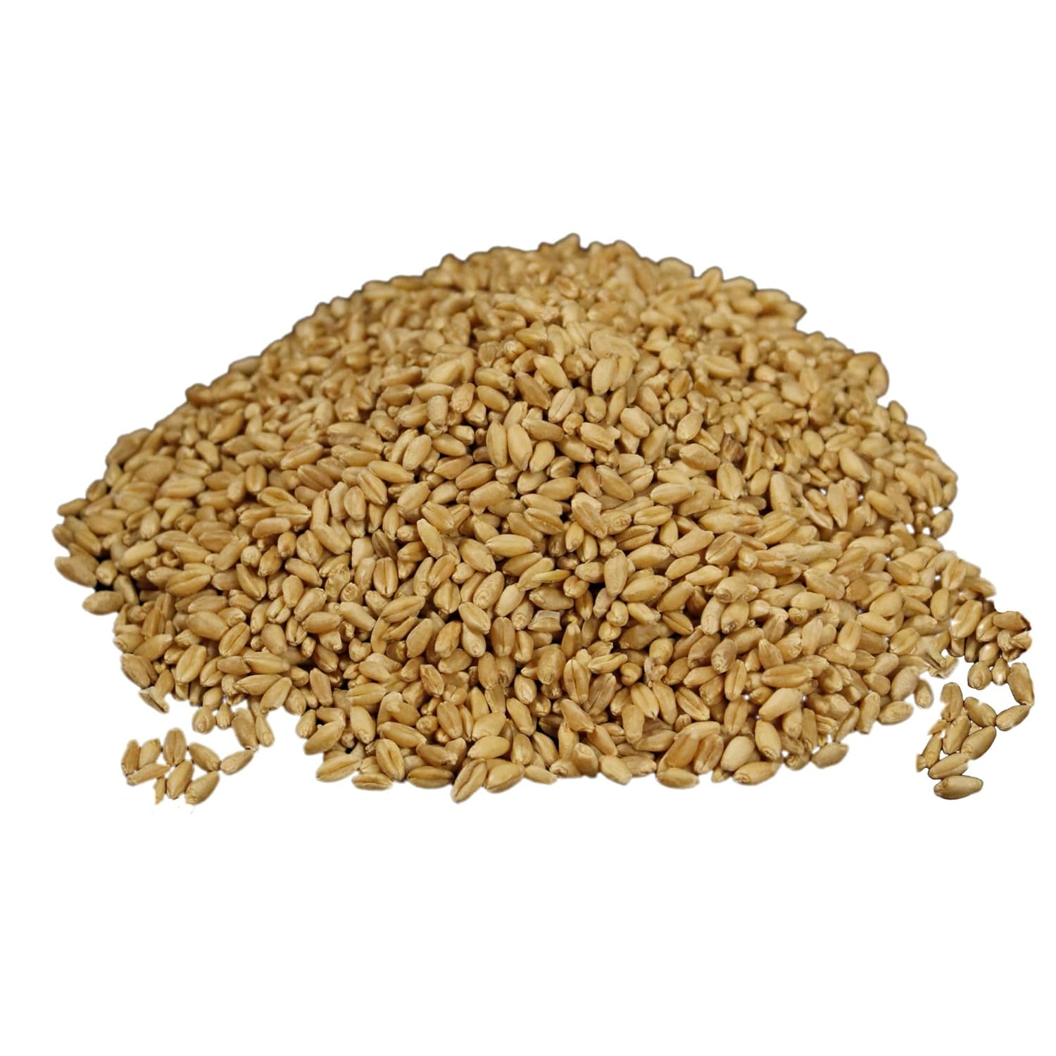 Wheatland™ Soft White Wheat Berries • 23 lbs • Delicious • Healthy Food Option • Farm Fresh • Mylar and Bucket Provide 25 Year Shelf Life • Emergency