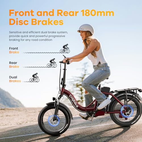 Folding Electric Bike for Adults with Peak 1000W Motor, 48V 20AH Battery up to 30MPH 80 Miles, 20" Fat Tire All Terrain Ebike