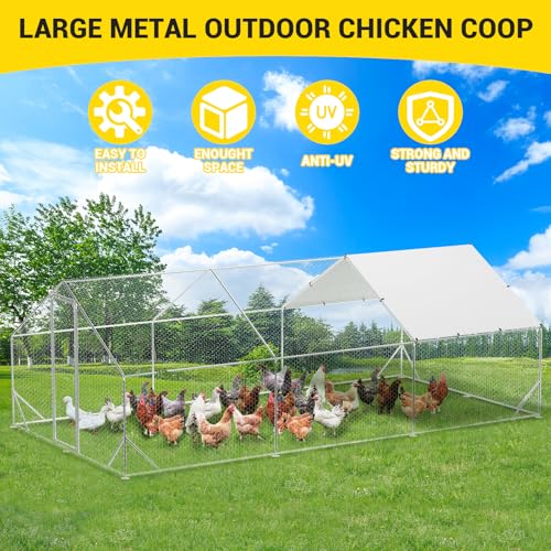 Large Metal Chicken Coop, Walk-in Poultry Cage