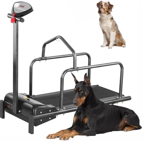 Dog Treadmill Large Dogs, Doggy Treadmill, Dog Treadmill Medium Dogs, Pet Running Machine Small & Medium Dog Exercise, Indoor Treadmill