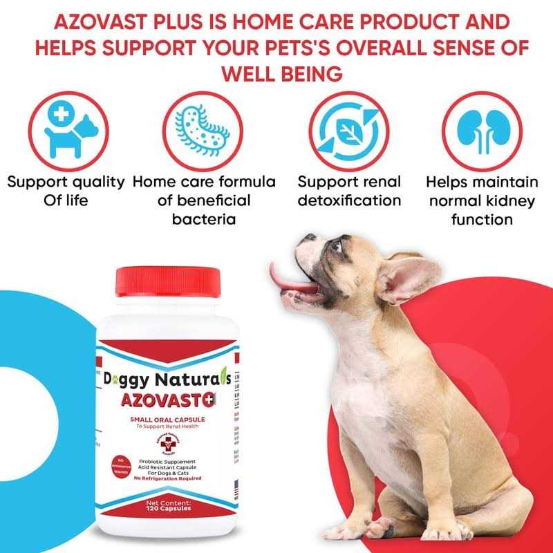 Pet Health Pharma Azovast Plus Kidney Health Supplement for Dogs &amp; Cats - Pet Supplies online store