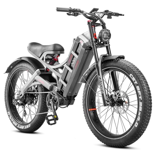 Romeo Pro/Romeo Ⅱ[2024 New]1200W/2500W Dual Motor 60Ah Adult Electric Bikes