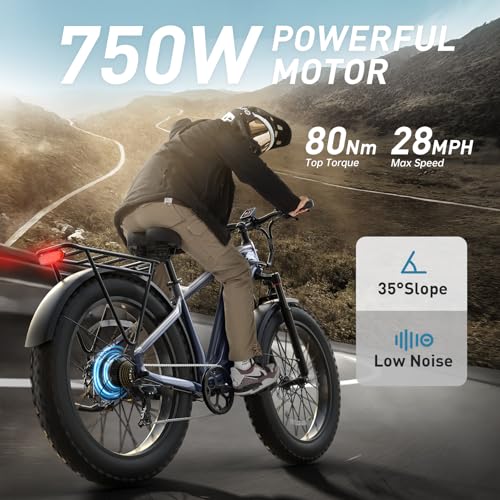 Electric Bike for Adults with 960W(Peak), 26" Fat Tire Electric Mountain Bike，48V 15AH Removable Battery Ebike