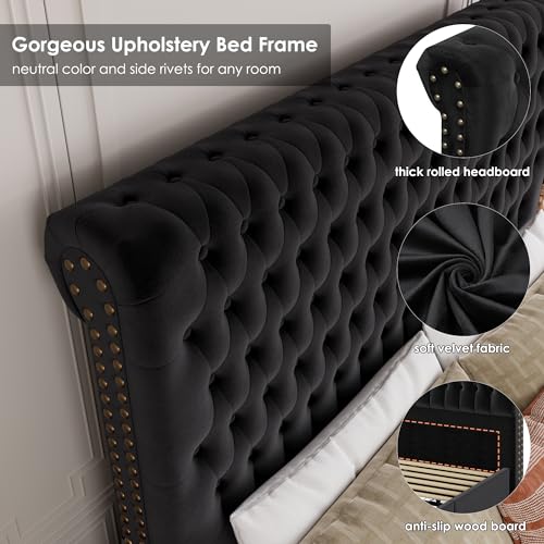 King Size Bed Frame 54" Tall Headboard with Gorgeous Button Tufted and Nail, Velvet Fabric Upholstered Bed Frame includes 4 Under-bed Storage Drawers