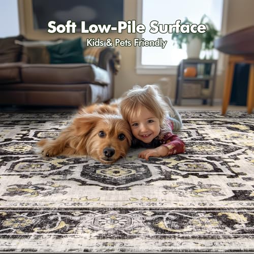Area Rug Washable Living Room
