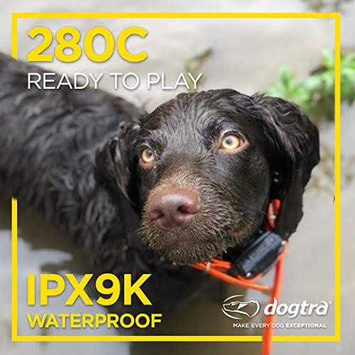 Dogtra 280C Dog Remote Training Collar