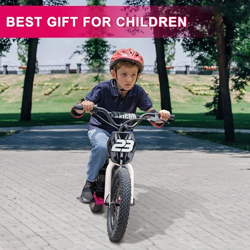 wanan Electric Dirt Bike for Kids 6-12 with Shock-Absorbing Front Fork, 250W Electric Motorcycle Up to 15.5MPH, 24V Detachable Battery, 16''