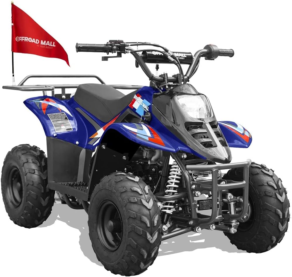 Offroad Mall REX 110cc Dirt Quad 4-Wheeler Gas Powered ATV for Kids, Remote Electric Start/Kill Switch, EPA & CARB Approved