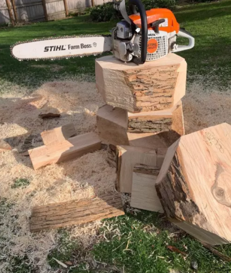 STIHL MS 170 BRAND NEW CHAINSAW(14 INCHES)