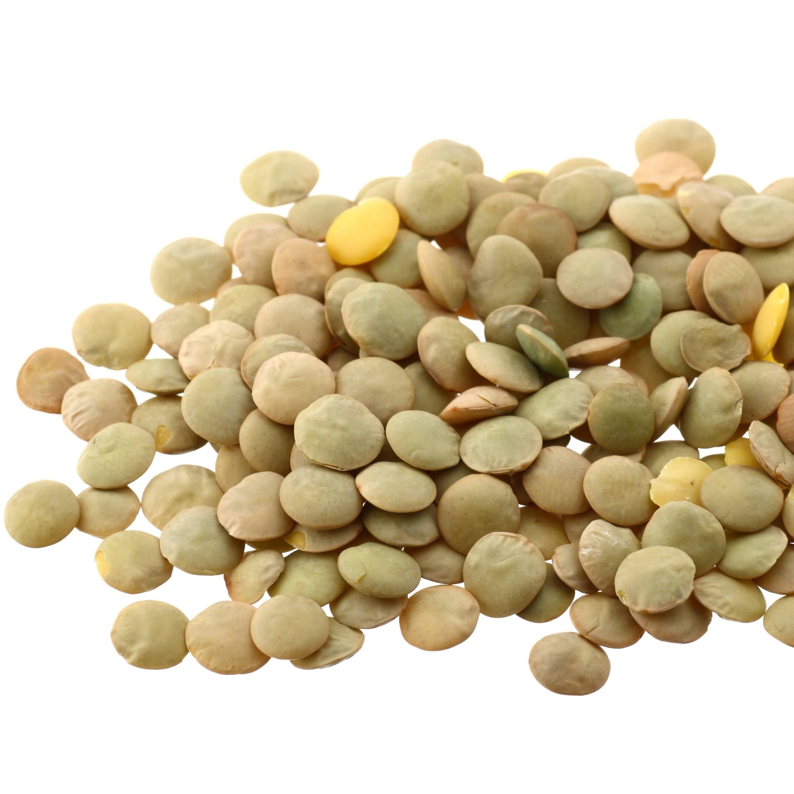 Augason Farms Lentil Beans Emergency Bulk Food Storage 24 Pound 4-gal