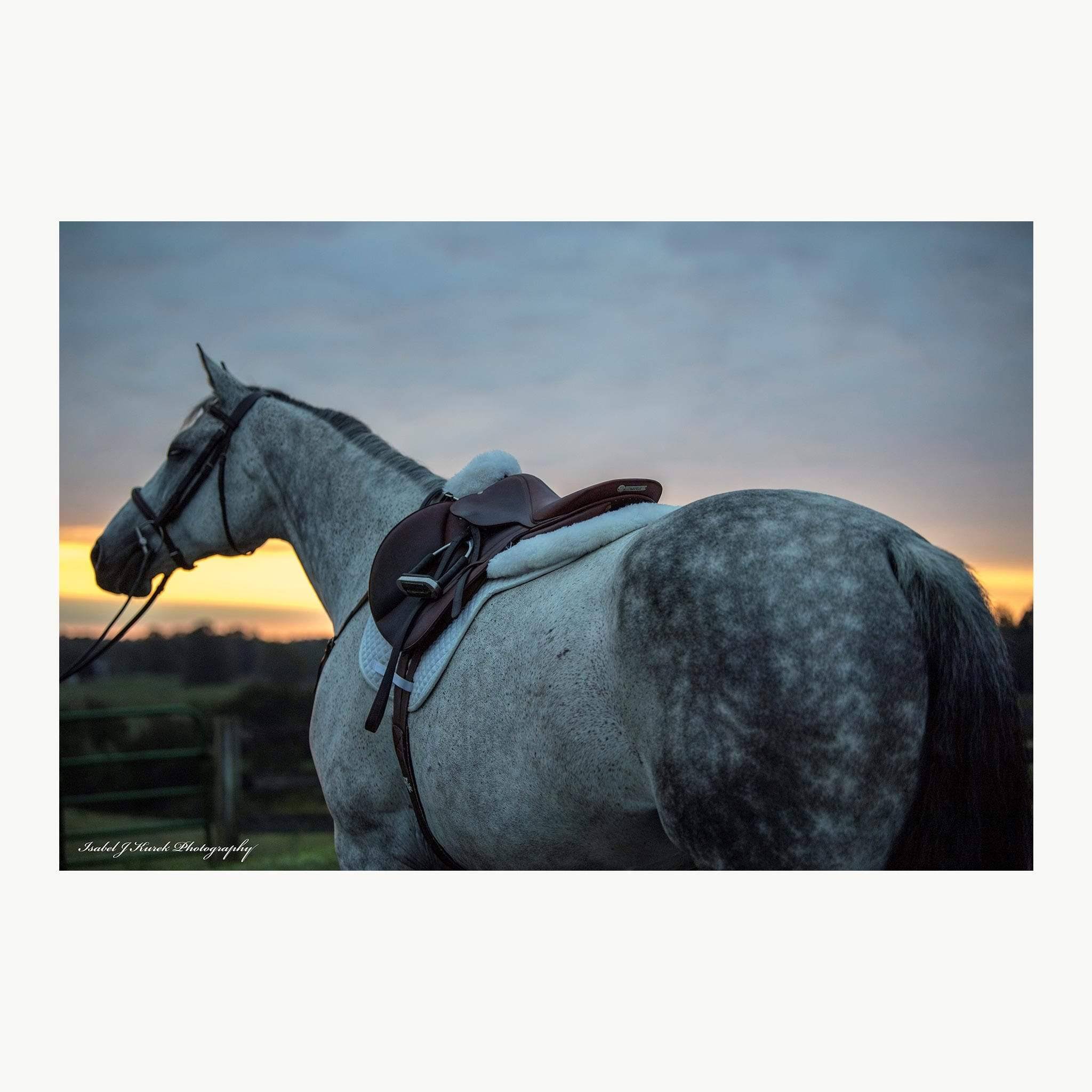 Thinline Full Sheepskin Trifecta Correction Half Saddle Pad in Black, Large