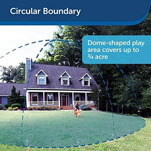 Pet Safe PIF00-13210 Stay and Play Extra Transmitter with Adapter