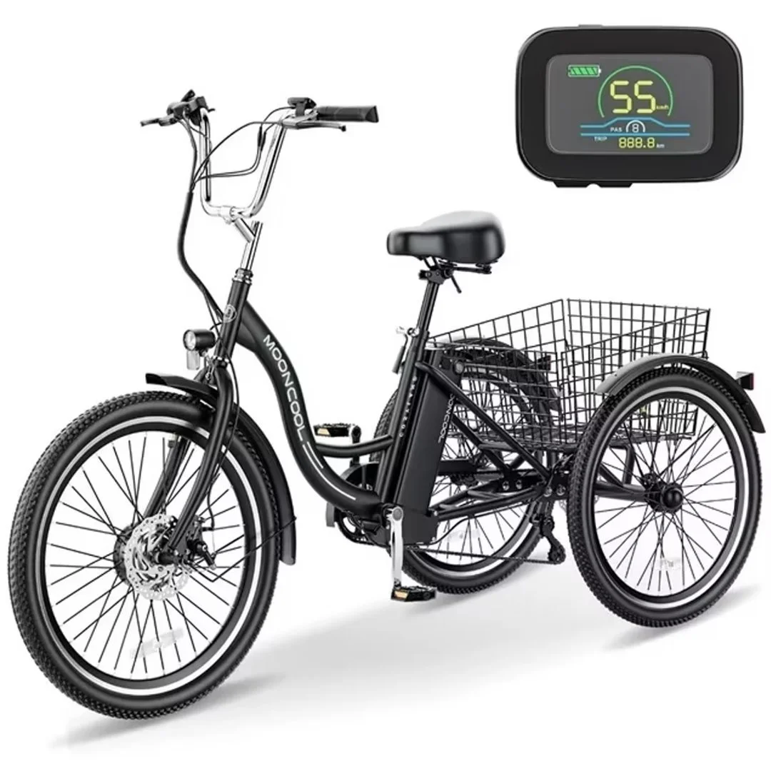 NAIZEA 24 3 Wheel Electric Bike for Senior, 350w Adults Electric Trike, Three Wheel Ebike Bicycle with Removable 36V 10Ah Lithium Battery
