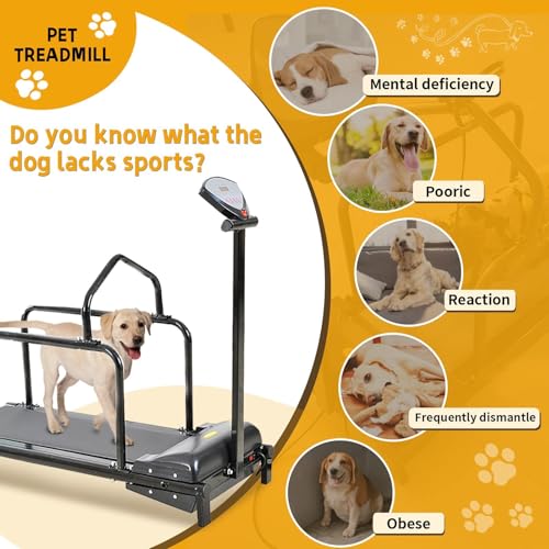 Dog Treadmill,Dog Pacer Treadmill for Large/Medium Dogs,Slatmill for Dogs,Pet Treadmill for Dogs Indoor & Outdoor,Training for Dogs,Up to 176lb