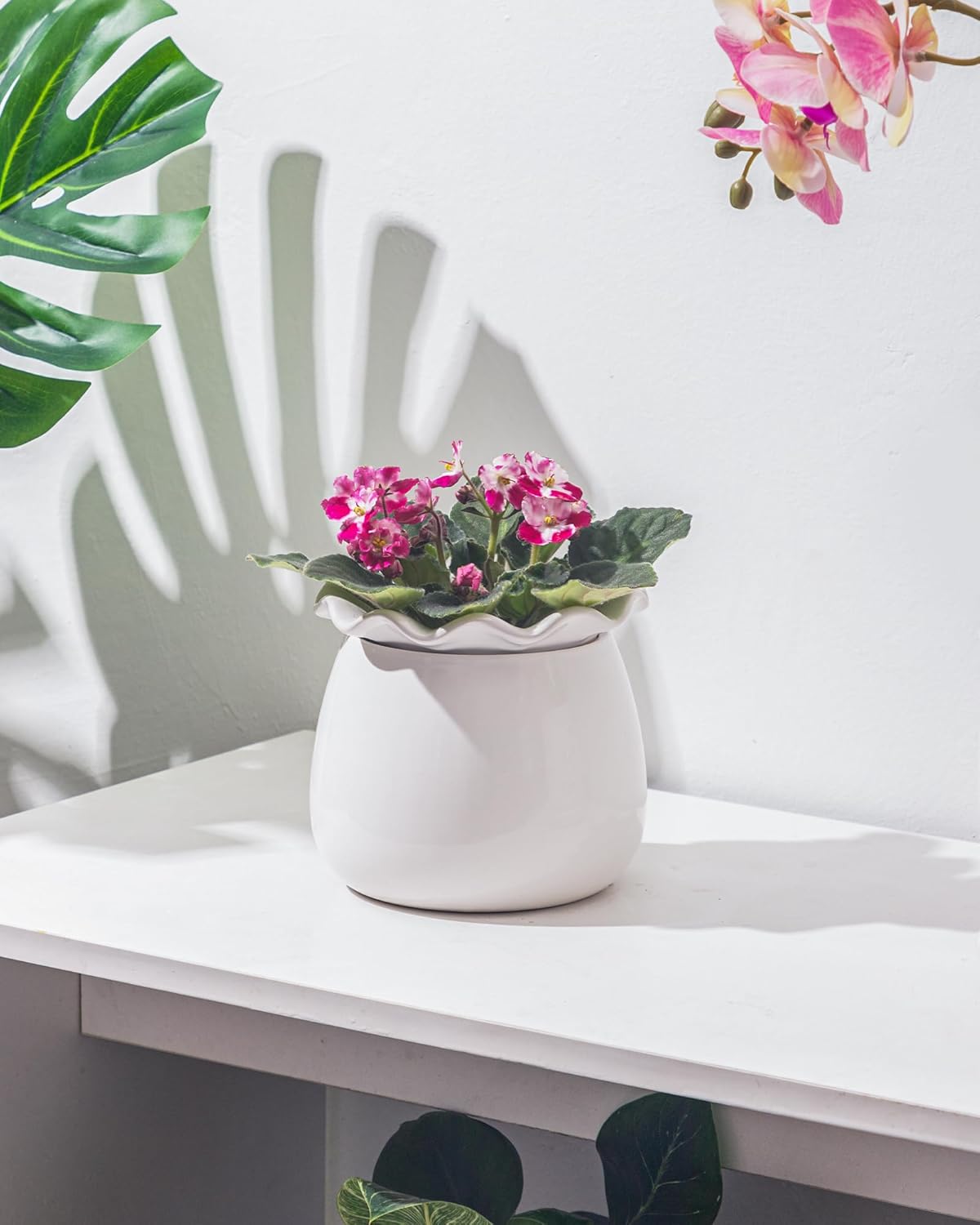 Self Watering Plant Pot, 6 Inch African Violet Pots Maintenance, Ceramic Self-Watering Planter for Indoor Plants