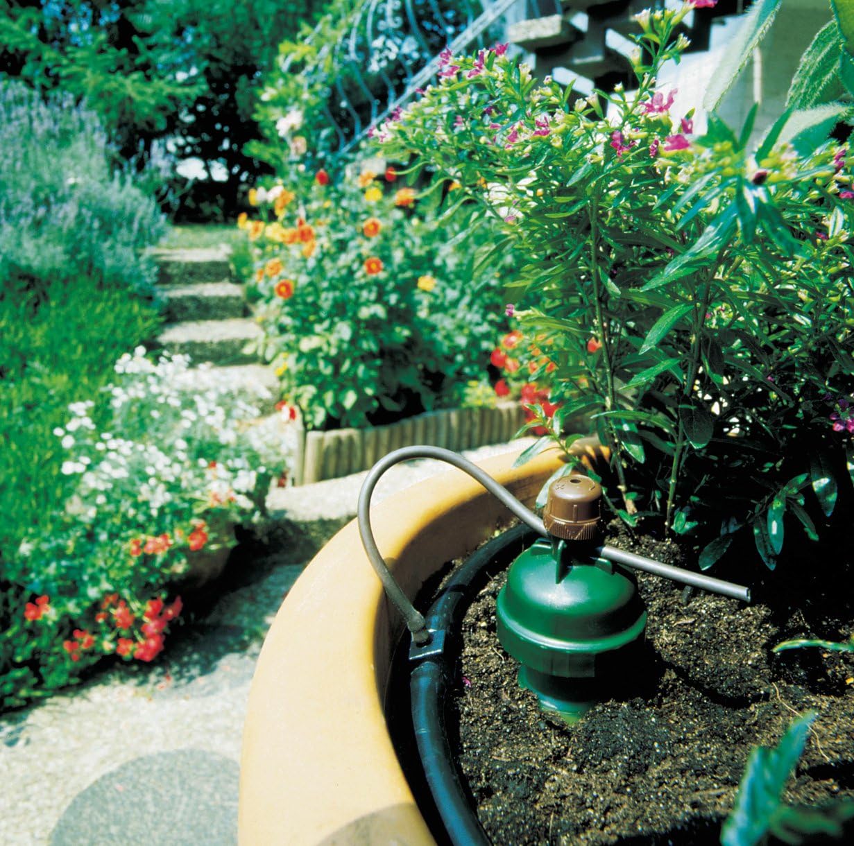 Blumat Drip System - 6 Pack Small Kit with Reservoir - Smart Automatic Watering System, Great for Vacation, Made in Austria