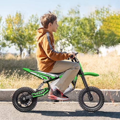 36V Electric Dirt Bike, 350W Motorcycle with Twist Grip Throttle, Dual Hand-Operated Brakes, Up to 15 MPH Speed, for Kids Aged 8-12, Pink