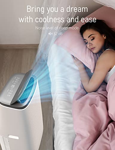 DEXSO Portable Air Conditioner