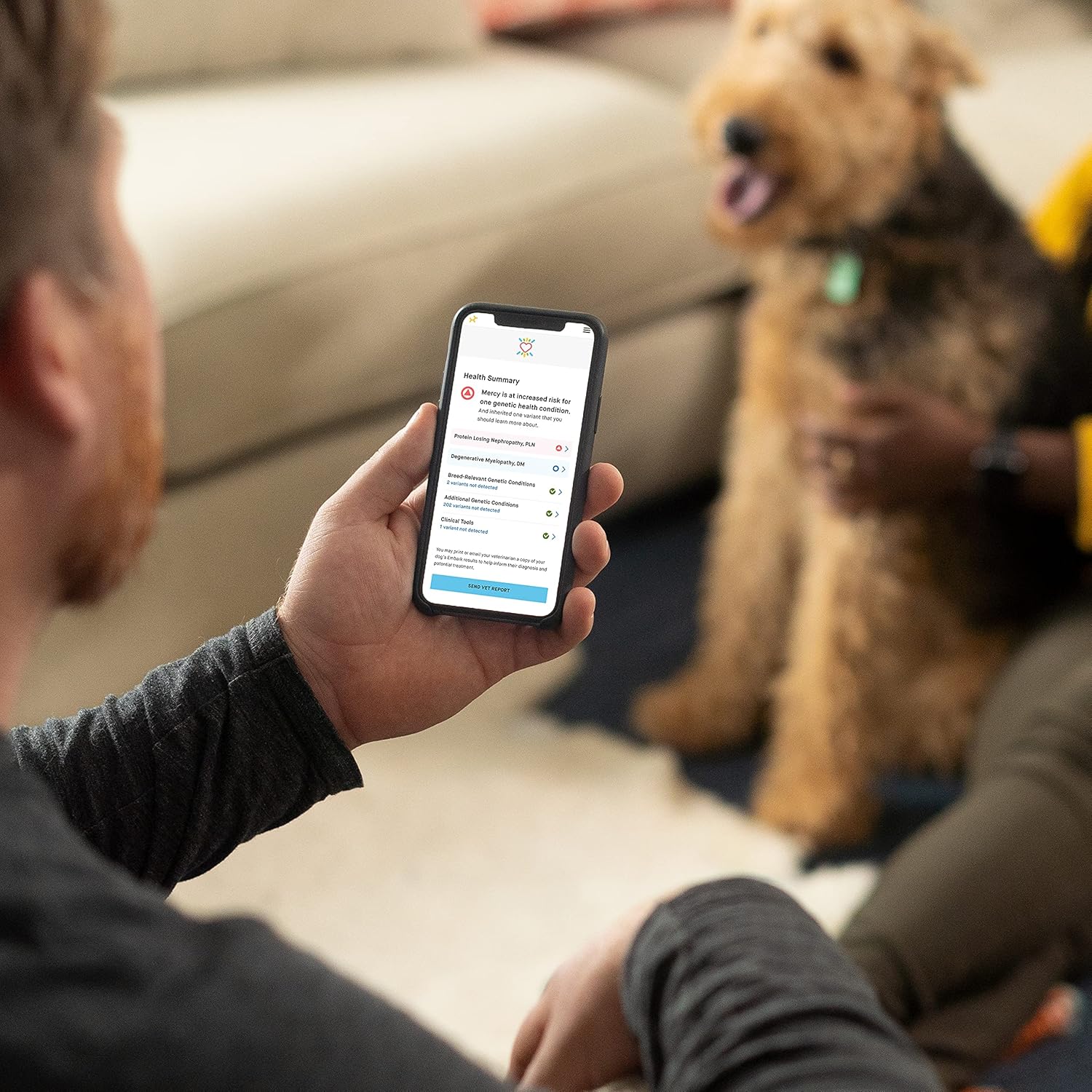 Embark | Dog DNA Test for Purebred Pets | Canine Genetic Health Screening & Genetic Diversity Score