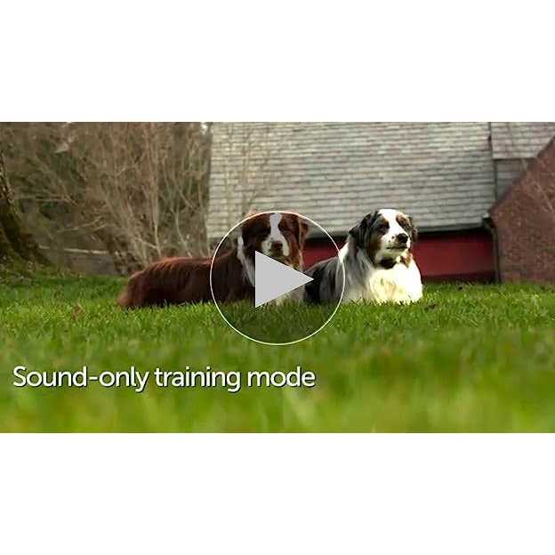 PetSafe Basic In-Ground Fence - Pet Supplies online store
