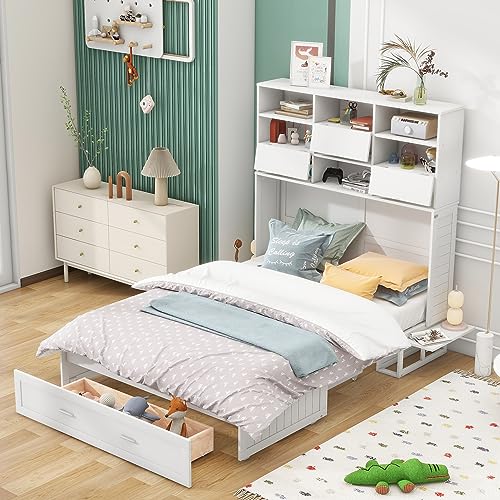Ball & Cast Queen Size Murphy Bed,Murphy Bed Cabinet W/ 2 Five-Layer Cabinet,Hideaway Wall Bed W/LED Lights,Wood Hidden Bed Frame for Guest Room