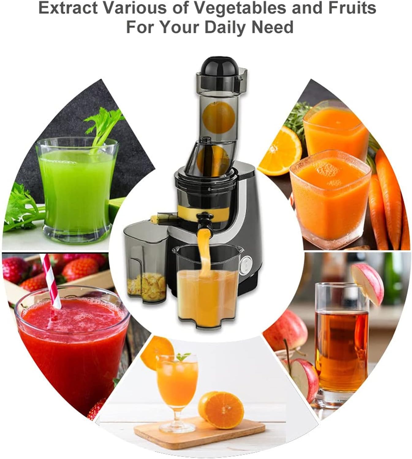 45RPM Electric Auger Juicer Vegetable and Fruit Juice Extractor,Professional Slow Masticating Juicer