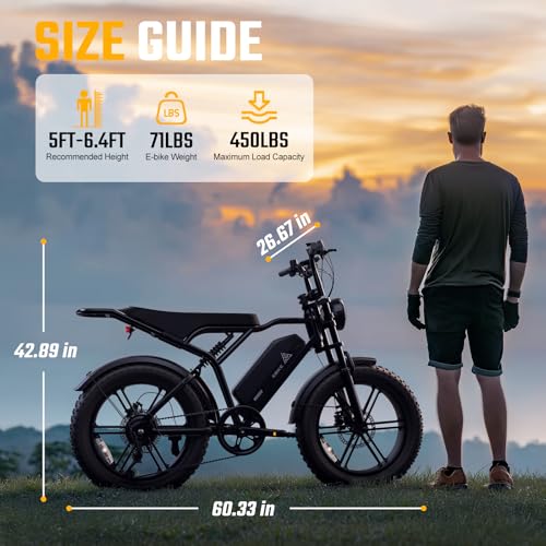 TST Electric Bike for Adults