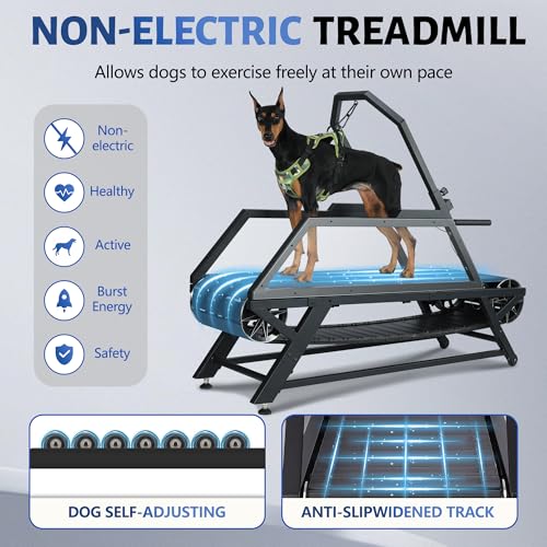 Dog Treadmill for Large & Medium Dogs - Slatmill for Dogs with Adjustable Resistance, Disc Brake & Pedometer, 300 lbs Heavy Duty