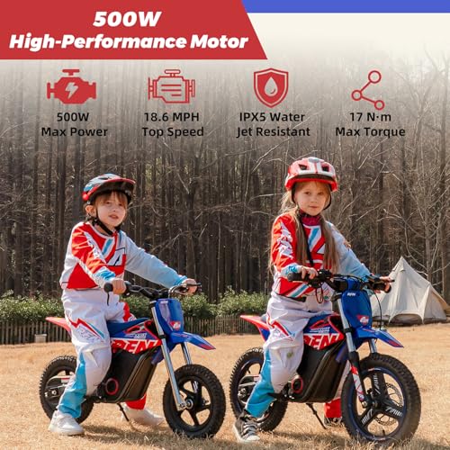 E500 36V Kids Electric Dirt Bike, Electric Motorcycle with 700W Motor | 21.7 mph Max Speed, 15.5-Mile Range & 3 Speeds Off-Road Bike for Ages 4-8
