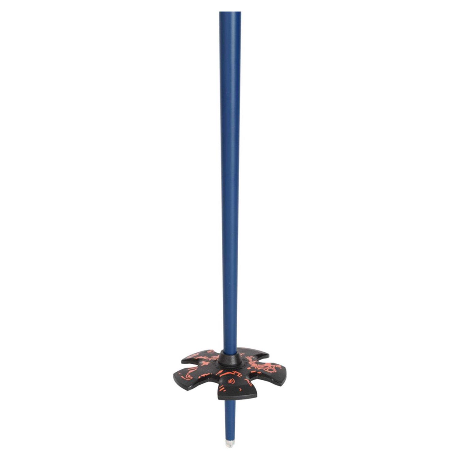 Line Paintbrush Ski Poles - Sports Supplies Online Store