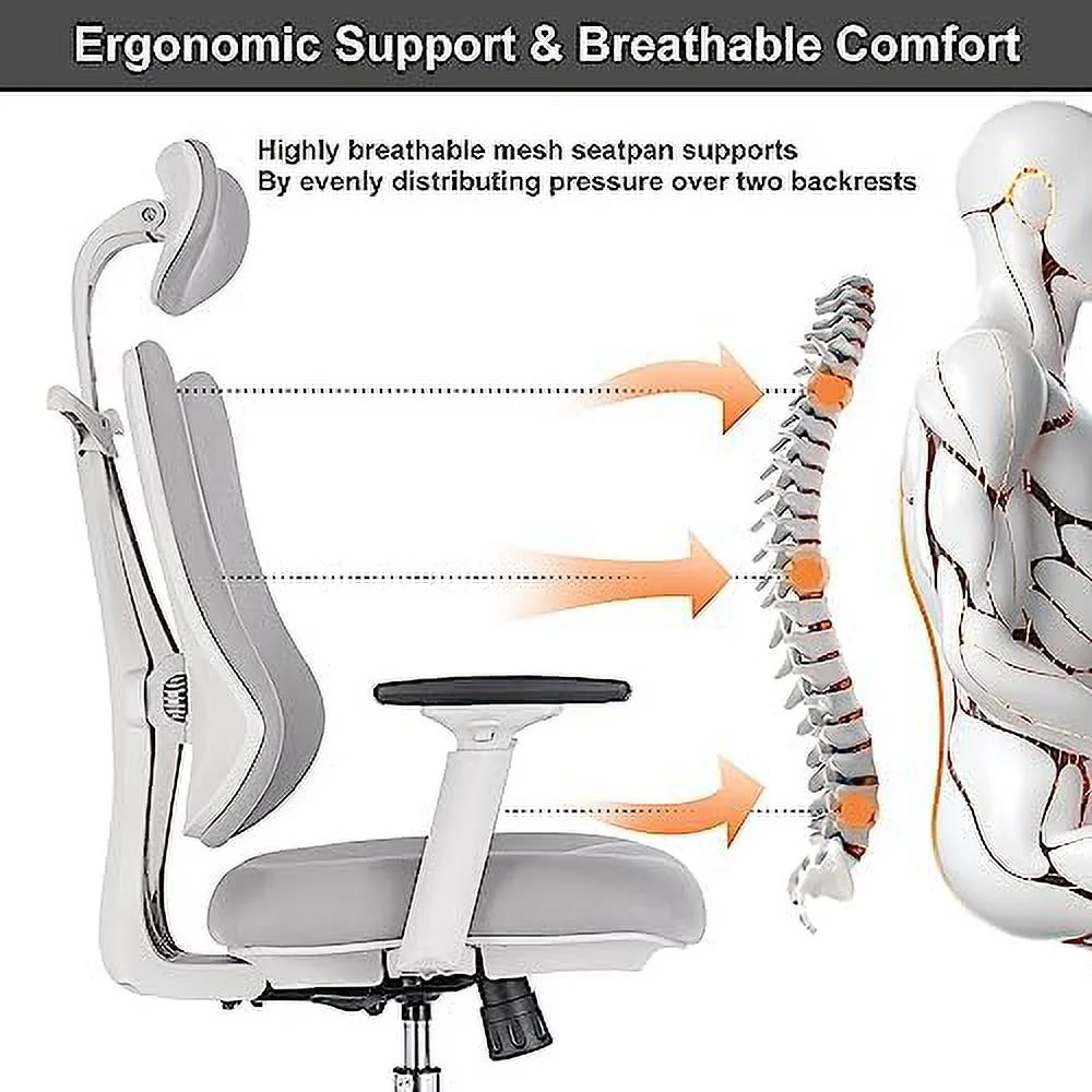 Ergonomic Office Chair Dual Backrests  BV Lumbar Support Office Desk Chair Back Support  Breathable mesh Office Chair 3D Adjustable Armrest