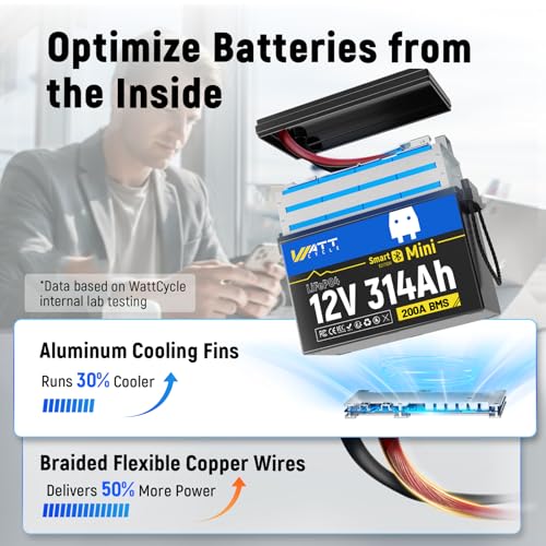 12V 314Ah Mini LiFePO4 Lithium Battery with Bluetooth 5.0, 200A BMS, 4.01kWh Energy, Upgraded Aluminum Cooling Fins & Braided Copper Wires, for RV
