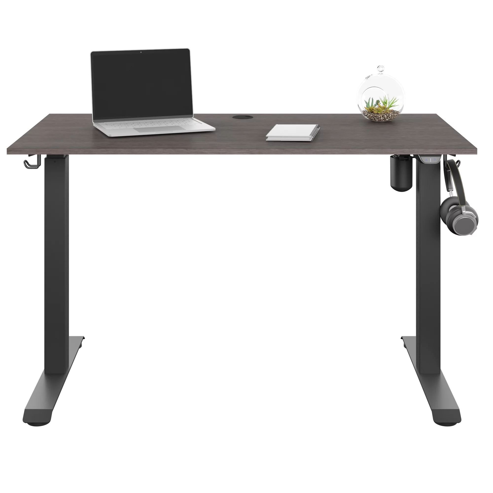 Twin Star Home Adjustable Height Desk - Ash Gray Oak