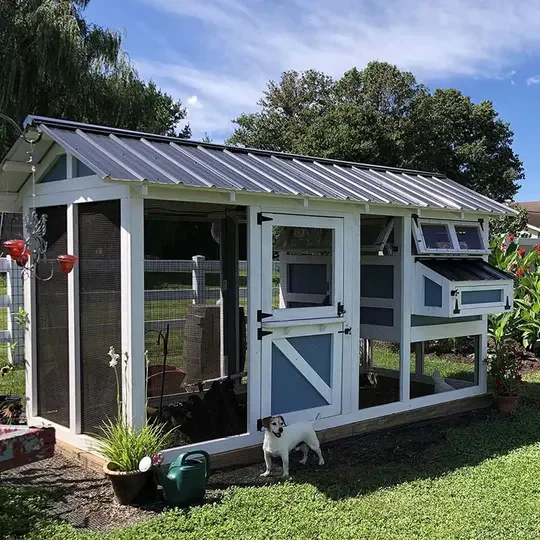 Outdoor Chicken Coop