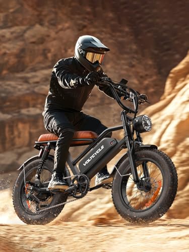 Electric Bike for Adults