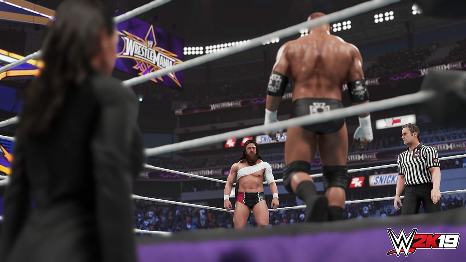 WWE 2K19 - PlayStation 4 Pack of 2