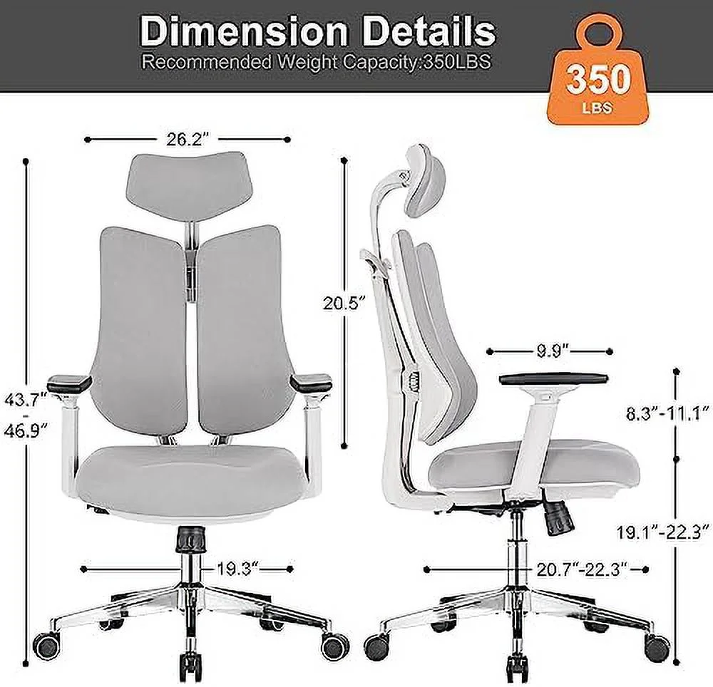 Ergonomic Office Chair Dual Backrests  BV Lumbar Support Office Desk Chair Back Support  Breathable mesh Office Chair 3D Adjustable Armrest