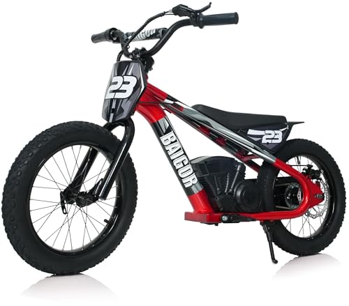 wanan Electric Dirt Bike for Kids 6-12 with Shock-Absorbing Front Fork, 250W Electric Motorcycle Up to 15.5MPH, 24V Detachable Battery, 16''