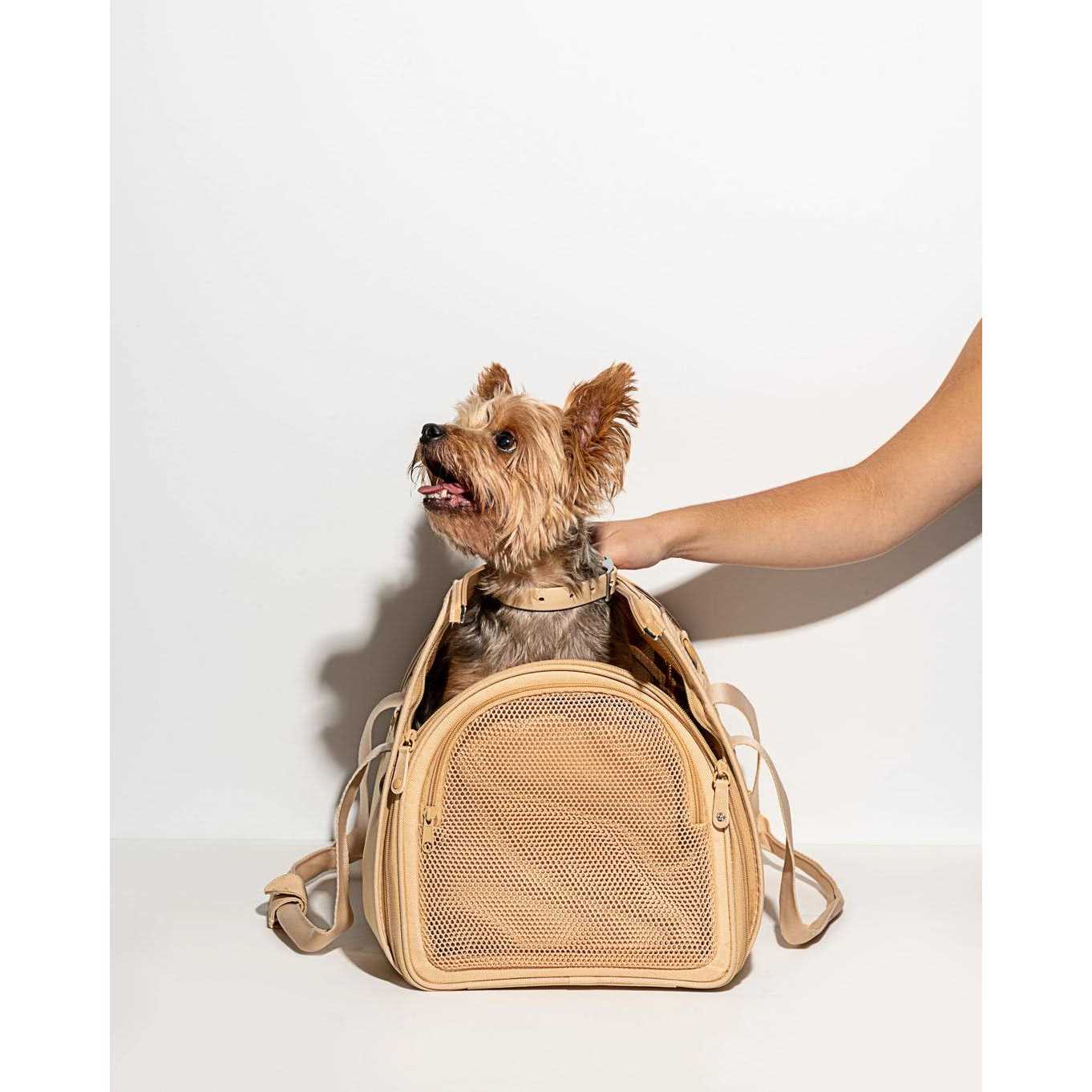Wild One Travel Carrier - Pet Supplies online store