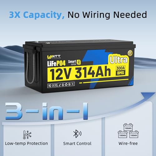 12V 314Ah Mini LiFePO4 Lithium Battery with Bluetooth 5.0, 200A BMS, 4.01kWh Energy, Upgraded Aluminum Cooling Fins & Braided Copper Wires, for RV